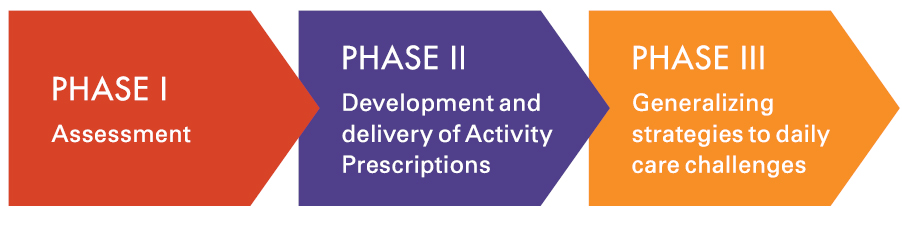 Graphic showing TAP phases